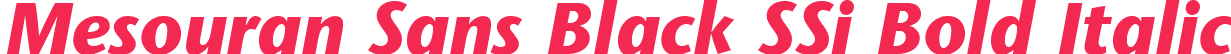 Mesouran Sans Black SSi Bold Italic